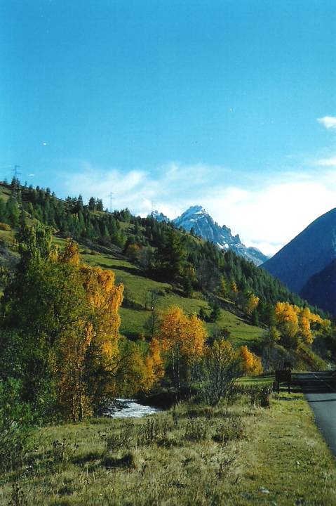 automne aux Verneys 2 001 